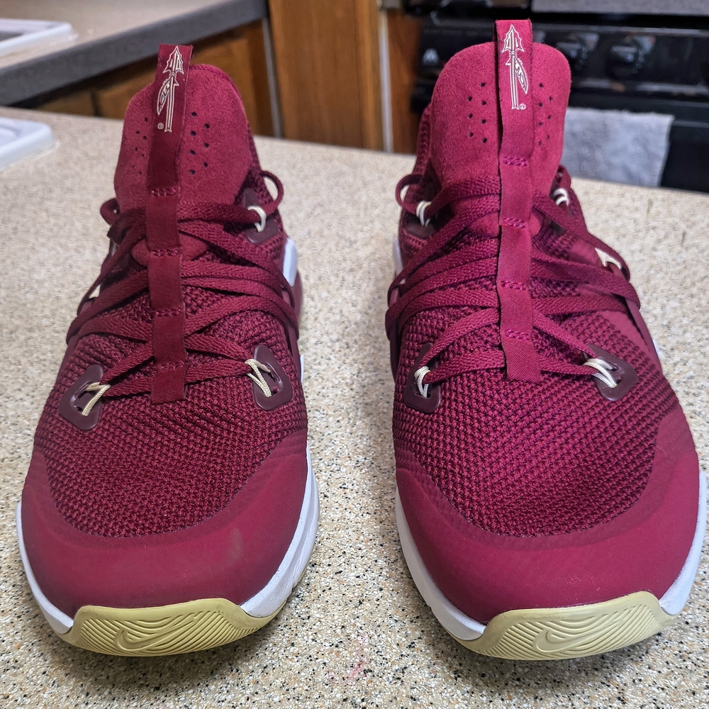Nike Zoom - FSU Seminoles - Garnet & Gold Athletic Shoes, Men's Size 10 - Picture 10 of 10